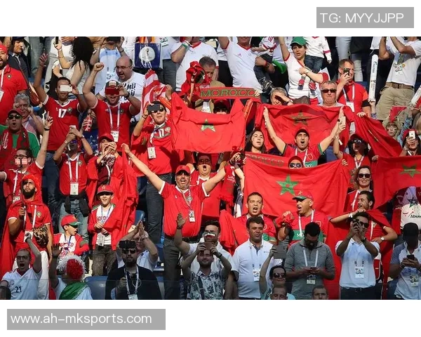 斯洛文尼亚U19对决法国U19青少年足球赛精彩回顾与分析